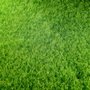 Photo of Total Sprinklers