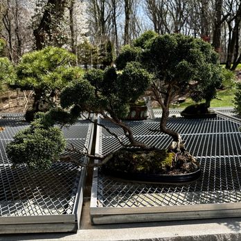 Deep Cut Gardens - Botanical Gardens Near Me - Middletown, New Jersey