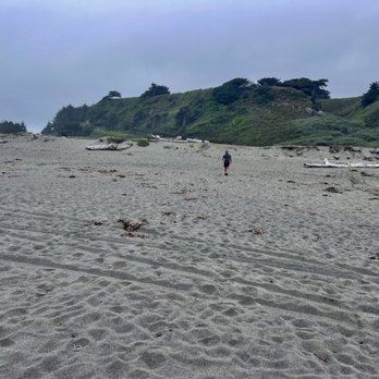 Mike Thompson Wildlife Area - September 11, 2025 - Lots of beach, no people. - Beaches Near Me - Arcata, California Mike Thompson Wildlife Area - September 11, 2025 - Lots of beach, no people. - Beaches Near Me - Arcata, California