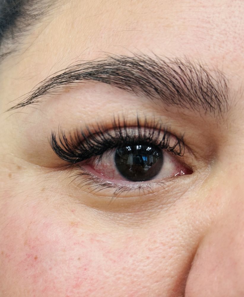 Lash Haven Logo