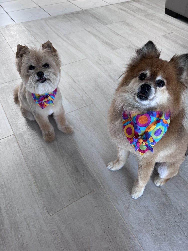 HERE BOY Updated October 2024 19 Reviews 777 Fischer Blvd, Toms