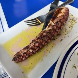 Octopus