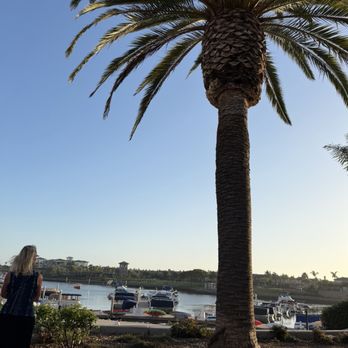 Fishermen's Catch - View from patio - Seafood Markets Near Me - Oxnard, California Fishermen's Catch - View from patio - Seafood Markets Near Me - Oxnard, California