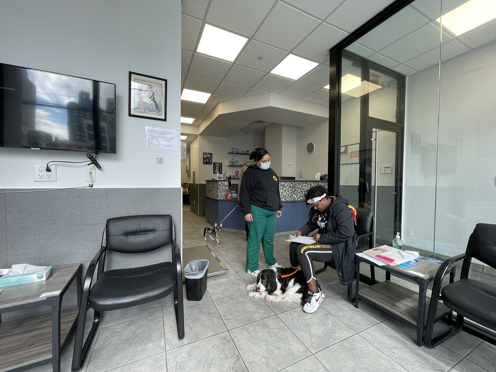 COURT SQUARE ANIMAL HOSPITAL Updated July 2025 26 Photos 86 COURT SQUARE ANIMAL HOSPITAL Updated July 2025 26 Photos 86