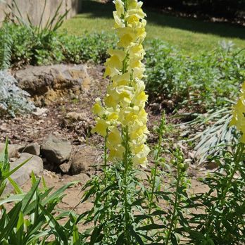 Birmingham Botanical Gardens - Venues & Event Spaces Near Me - Birmingham, Alabama Birmingham Botanical Gardens - Venues & Event Spaces Near Me - Birmingham, Alabama