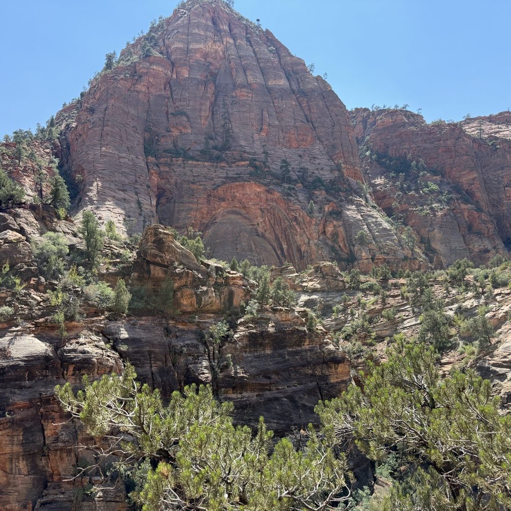 Observation Point - Hiking Near Me - Springdale, Utah Observation Point - Hiking Near Me - Springdale, Utah