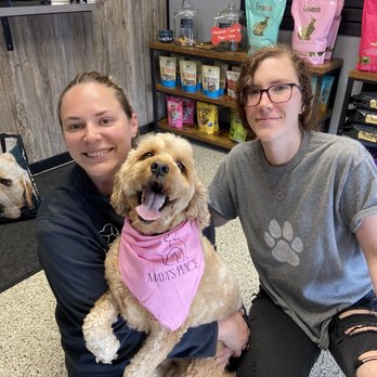 Maya’s Place - Dog boarding and dog daycare - Pet Boarding Near Me - Sheboygan, Wisconsin