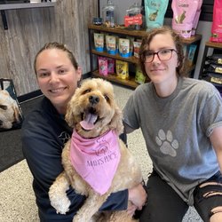 Maya’s Place - Dog boarding and dog daycare