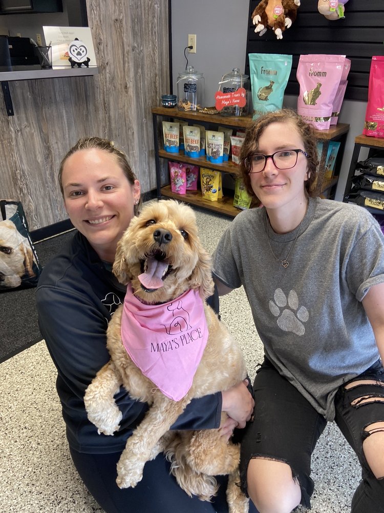 Artistic Sheboygan Dog Boarding Background Digital Art Artistic Sheboygan Dog Boarding Background Digital Art