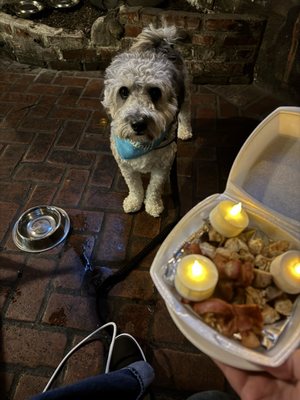 The Fox and Hounds by null