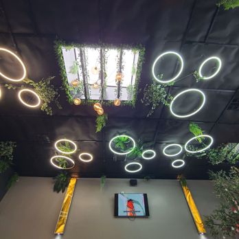 R&B Tea - Ceiling decor - Tea Rooms Near Me - Orange, California