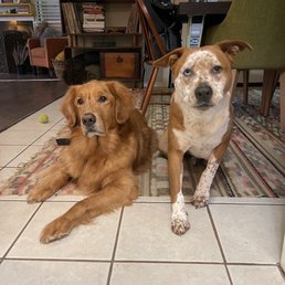 Charlie and Stewart (the monster )