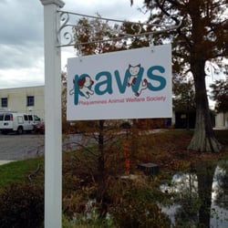 PAWS Plaquemines Animal Welfare Society - This is where your next love of your life is waiting for you at.