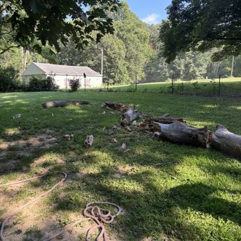 Grandview Tree & Arbor Care - Tree Services Near Me - Bartonville , Illinois Grandview Tree & Arbor Care - Tree Services Near Me - Bartonville , Illinois