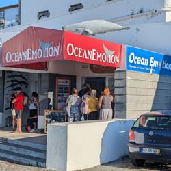 OceanEmotion Azores Whale Watching