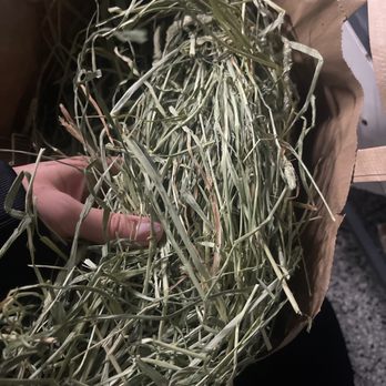 The Feed Barn - Bay is fresh and smells good! - Pet Stores Near Me - Costa Mesa, California
