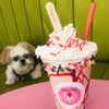 Paleta Mia Ice Pops gift card
