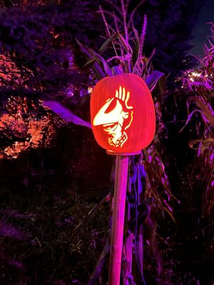 Pinehaven Farm by null