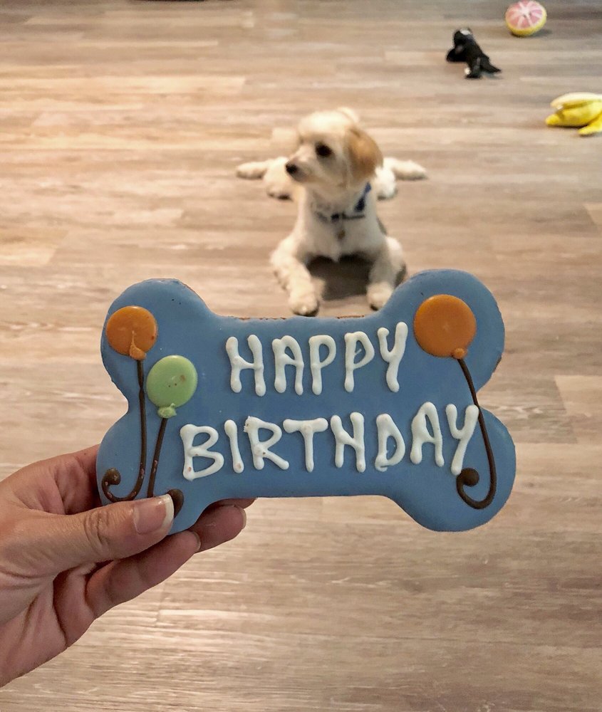 MURPHY’S PAW 82 Photos & 118 Reviews Pet Stores 410 Main St