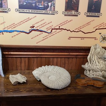 Howe Caverns - Fossils and some minerals - Tours Near Me - Howes Cave, New York