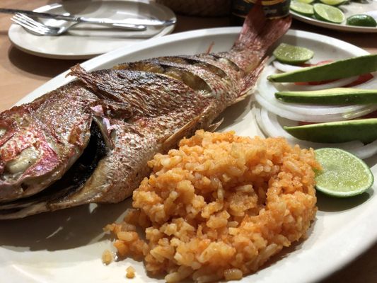 El Grillo Marinero by null