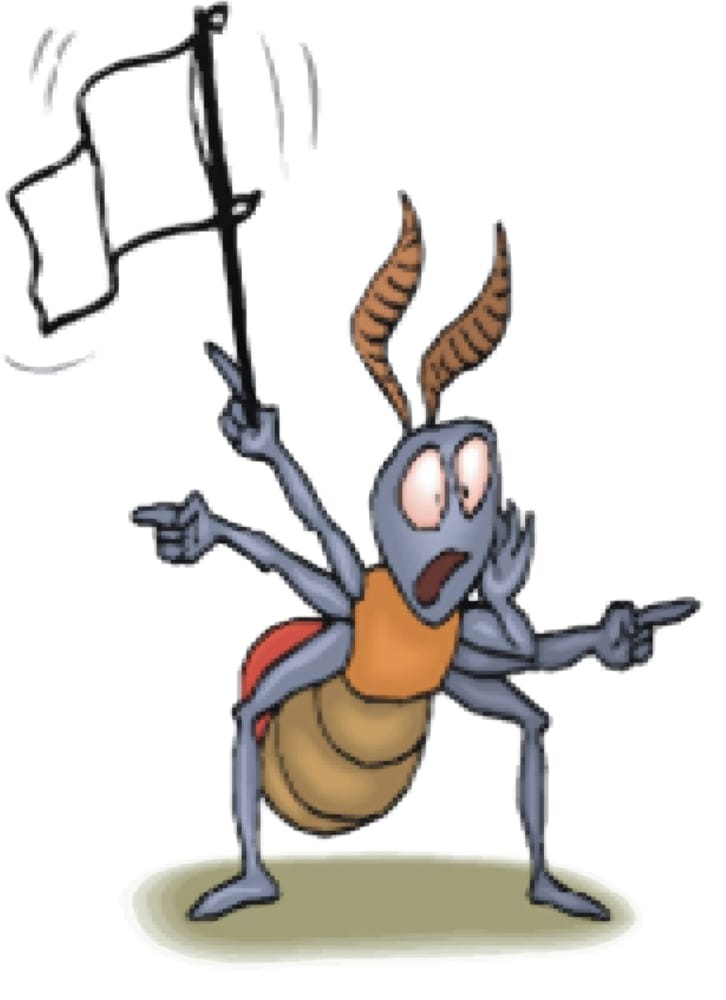 Avondale, Arizona Pest Control Phone Number Yelp