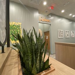Plants