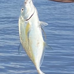 Choke Fishing Supplies - We caught this fish using choke rental gear. Dunking from the shore. Super fun addition to our vacation