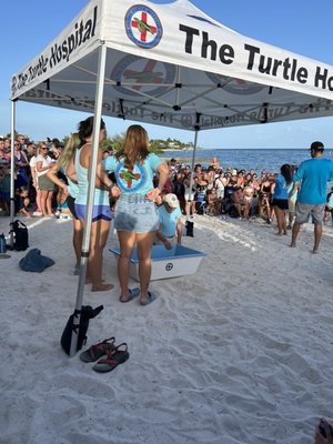 Turtle Hospital by null