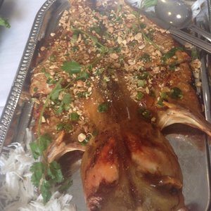 Saigon Kitchen 1175 Photos 486 Reviews Vietnamese 1111 Story Rd San Jose Ca Restaurant Reviews Phone Number