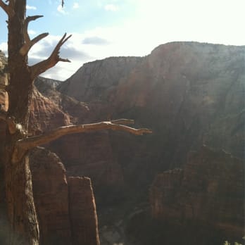 Angel's Landing - Hiking Near Me - Springdale, Utah Angel's Landing - Hiking Near Me - Springdale, Utah