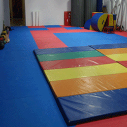 Dancing Plus Gymnastics