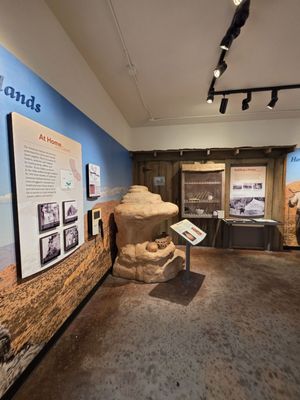 Joshua Tree Visitor Center by null