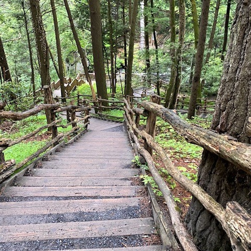 Bushkill Falls - Lots & LOTS of steps - Tours Near Me - Bushkill, Pennsylvania Bushkill Falls - Lots & LOTS of steps - Tours Near Me - Bushkill, Pennsylvania