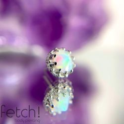 Fetch Body Piercing - Call 530.222.7225 to book an appointment. :)