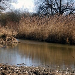 La Petite Camargue Alsacienne