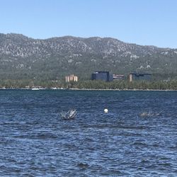 The view of Casinos from Regan beach over the water
