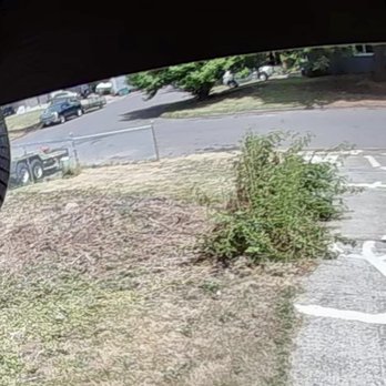 Tino Touch Lawn Care - He was supposed to remove the wild rose bush but said he forgot his chainsaw. Not prepared for work. - Lawn Services Near Me Tino Touch Lawn Care - He was supposed to remove the wild rose bush but said he forgot his chainsaw. Not prepared for work. - Lawn Services Near Me