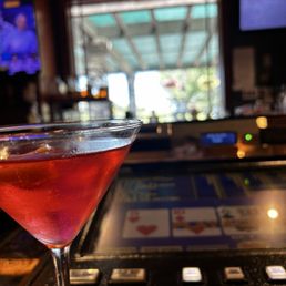 Cosmo at the bar looking out to the patio