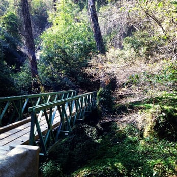 Chantry Flat Recreation Area - Bridge towards the beginning of the trail heads.. - Parks Near Me - Sierra Madre, California
