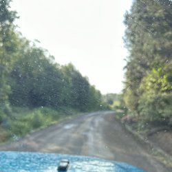 Turtle Lodge - Road coming in not paved and muddy.