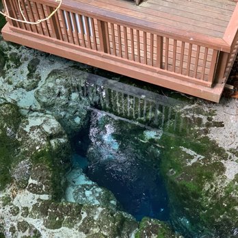 Real Rotorua - Tours Near Me - Rotorua, BOP Real Rotorua - Tours Near Me - Rotorua, BOP
