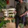 Photo of Snakeroot Botanicals