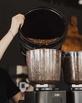 The Boy & The Bear - Coffee Roastery by null