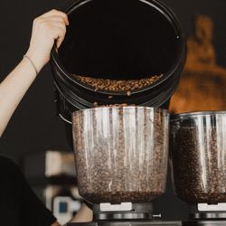 The Boy & The Bear - The Boy & The Bear - Coffee Roastery.
The Black Store, Redondo Beach CA