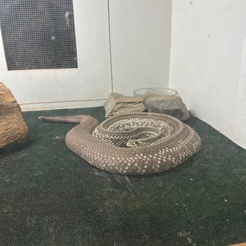 Luray Zoo - Zoos Near Me - Luray, Virginia