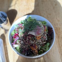 Quinoa harvest salad served over bed of greens