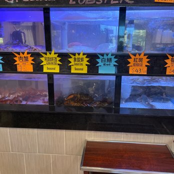 Taste - Live seafood tank. - Seafood Near Me - Las Vegas, Nevada Taste - Live seafood tank. - Seafood Near Me - Las Vegas, Nevada
