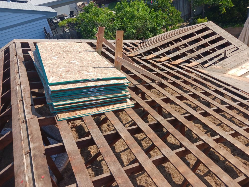 Slide of Cesar Arenas 