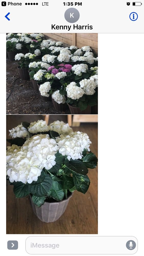 COLEMAN’S NURSERIES Updated May 2024 65 Photos & 15 Reviews 2